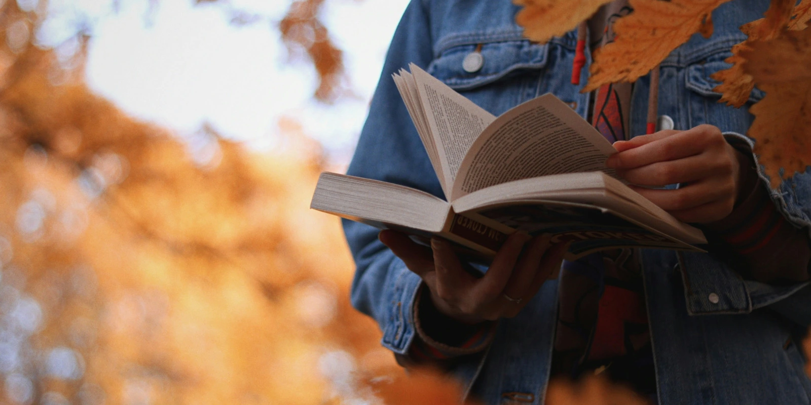 La Licence Arts à Saint-Étienne : Programme et Débouchés