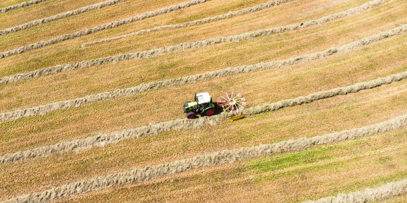 Les Débouchés de la Licence Arts à Rennes 2
