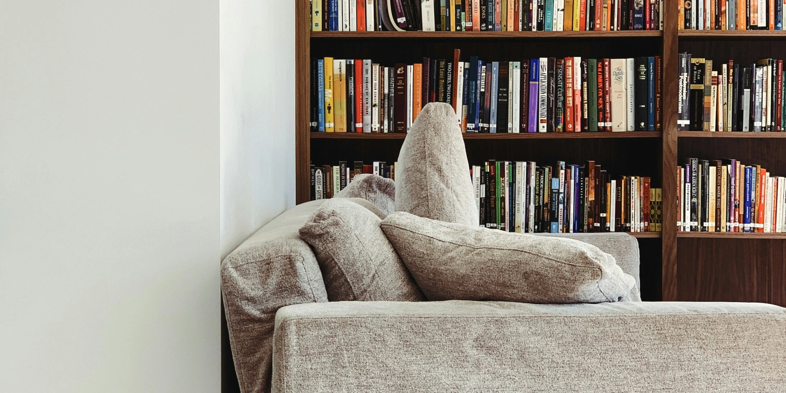 Licence Arts à Distance : Les Meilleures Options