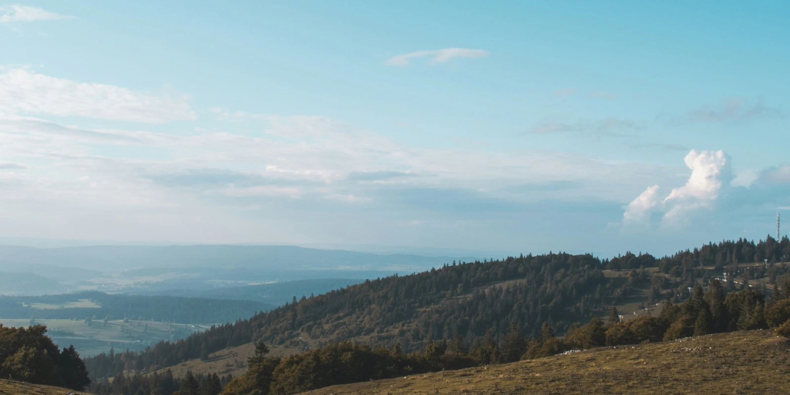 Licence Arts à Lyon : Programme et Cours