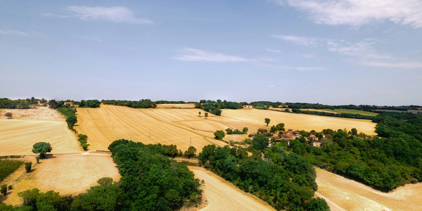 Licence Arts : Cours et Modules à Paris 8 Licence Arts : Cours et Modules à Paris 8