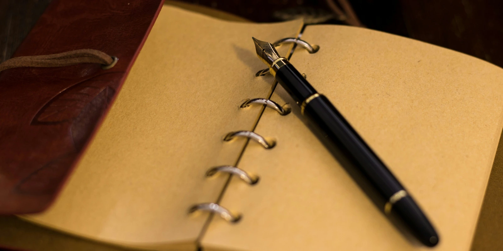 Licence Arts et Innovation Numérique