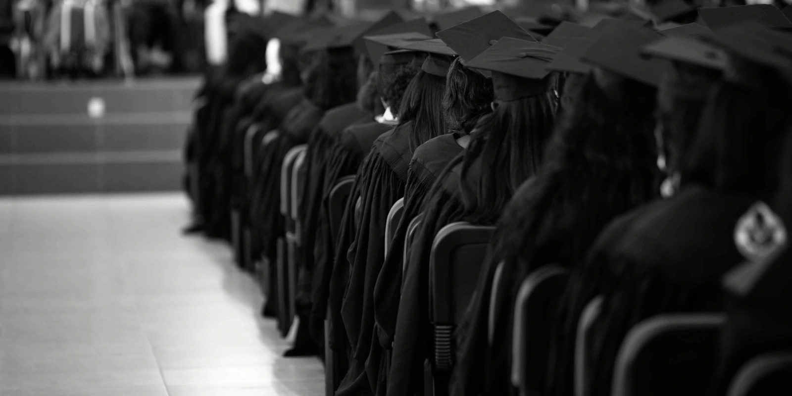 Licence Arts : Les Événements et Expositions