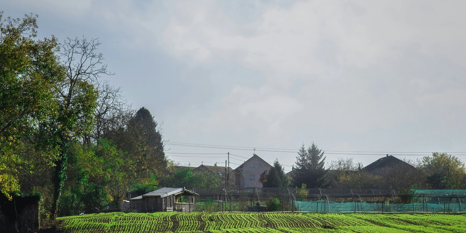 Licence Arts : Les Stages et Expériences Professionnelles