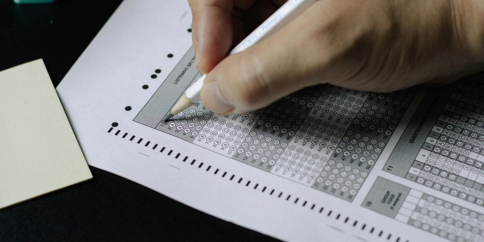 Licence Arts : Quel Niveau en Dessin?