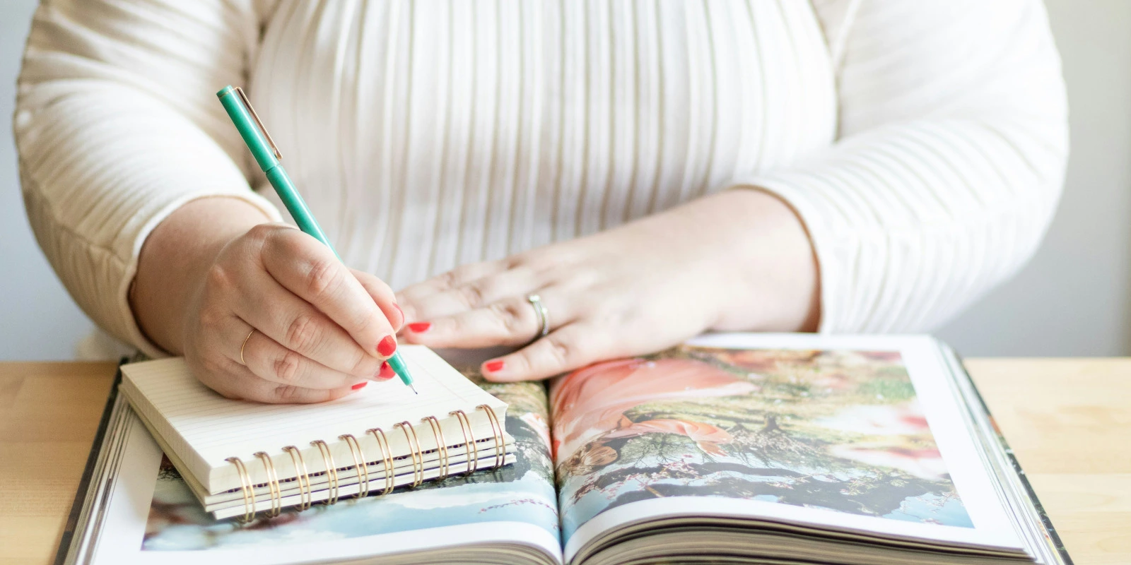 Pratiques de la Curatelle : Organisation d'Expositions d'Art