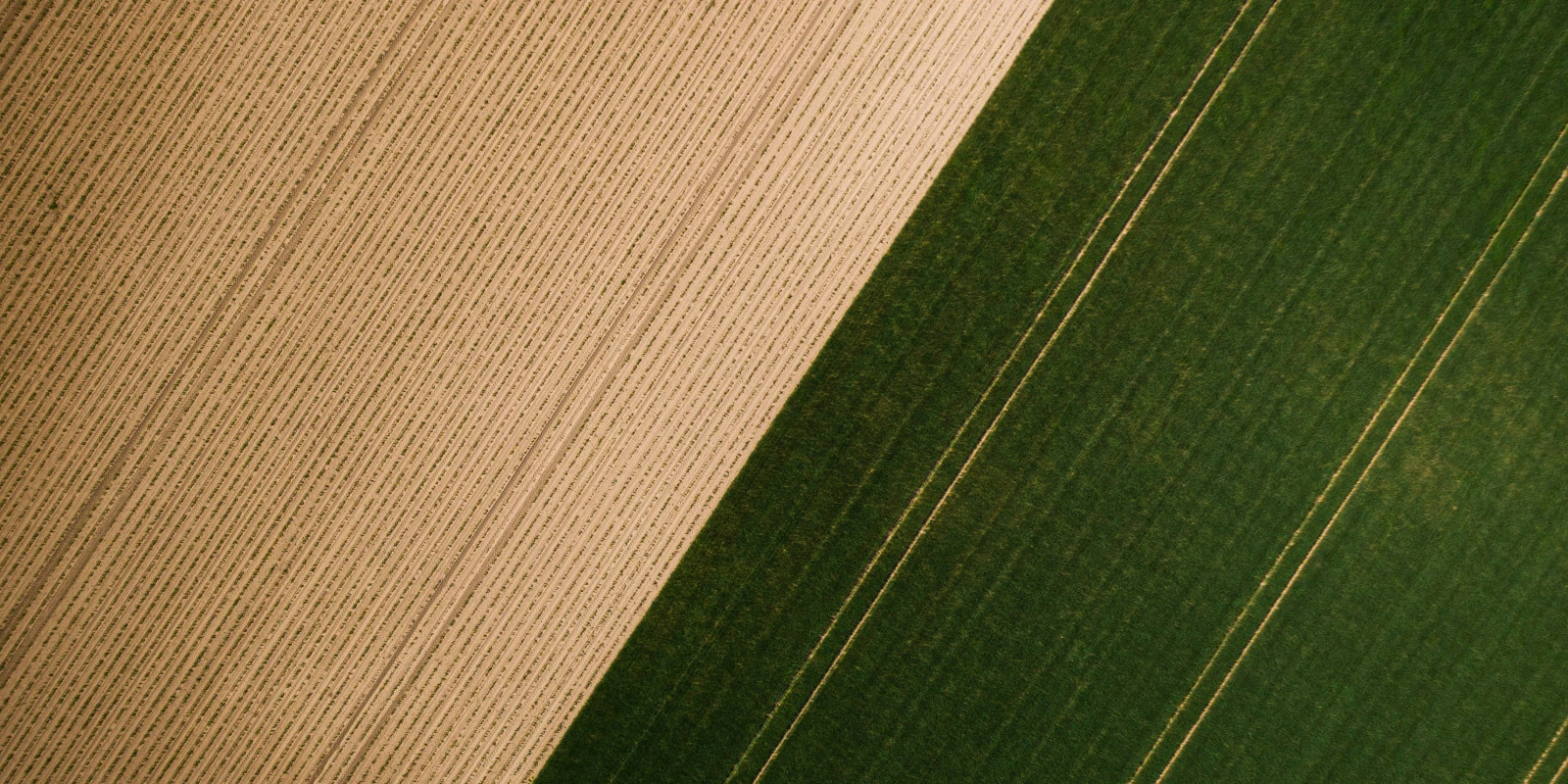 Théâtre et Mise en Scène : De la Tradition à l'Expérimentation